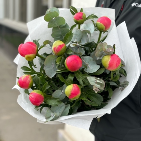 MF1025 - Букет из 9 коралловых пионов и эвкалипта - фото moscowflorist.ru