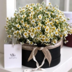 MF0524 - Черная шляпная коробка с ромашками картинка №1 - moscowflorist.ru MF0524 - Черная шляпная коробка с ромашками фото №1 - moscowflorist.ru