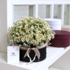 MF0524 - Черная шляпная коробка с ромашками картинка №5 - moscowflorist.ru MF0524 - Черная шляпная коробка с ромашками фото №5 - moscowflorist.ru