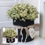 MF0524 - Черная шляпная коробка с ромашками картинка №2 - moscowflorist.ru MF0524 - Черная шляпная коробка с ромашками фото №2 - moscowflorist.ru