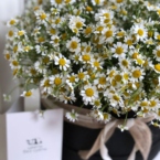 MF0524 - Черная шляпная коробка с ромашками картинка №3 - moscowflorist.ru MF0524 - Черная шляпная коробка с ромашками фото №3 - moscowflorist.ru
