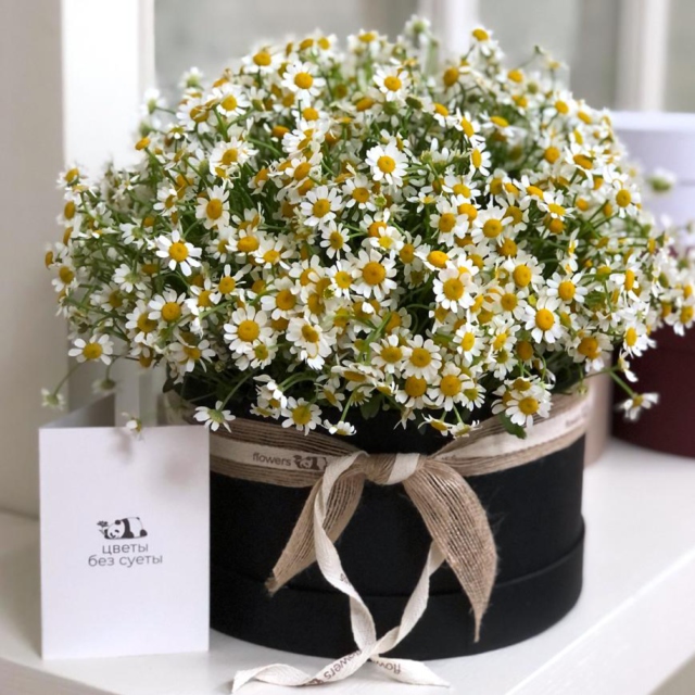 MF0524 - Черная шляпная коробка с ромашками фото - moscowflorist.ru