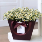 MF0730 - Бордовая фирменная сумка с полевой ромашкой картинка №4 - moscowflorist.ru MF0730 - Бордовая фирменная сумка с полевой ромашкой фото №4 - moscowflorist.ru