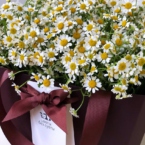 MF0730 - Бордовая фирменная сумка с полевой ромашкой картинка №3 - moscowflorist.ru MF0730 - Бордовая фирменная сумка с полевой ромашкой фото №3 - moscowflorist.ru