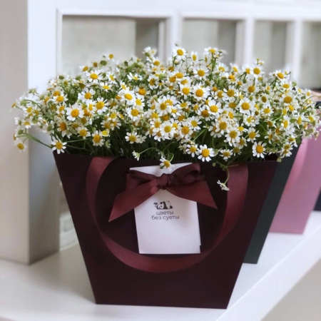 MF0730 - Бордовая фирменная сумка с полевой ромашкой - фото moscowflorist.ru