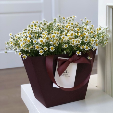 MF0730 - Бордовая фирменная сумка с полевой ромашкой - фото moscowflorist.ru