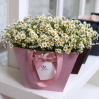 MF0731 - Нежная цветочная сумка с ромашками картинка №3 - moscowflorist.ru MF0731 - Нежная цветочная сумка с ромашками фото №3 - moscowflorist.ru