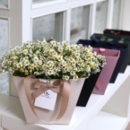 MF0732 - Кремовая фирменная сумка с ромашками картинка №2 - moscowflorist.ru MF0732 - Кремовая фирменная сумка с ромашками фото №2 - moscowflorist.ru