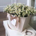 MF0732 - Кремовая фирменная сумка с ромашками картинка №3 - moscowflorist.ru MF0732 - Кремовая фирменная сумка с ромашками фото №3 - moscowflorist.ru