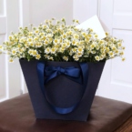 MF0735 - Синяя цветочная сумка с ромашками картинка №2 - moscowflorist.ru MF0735 - Синяя цветочная сумка с ромашками фото №2 - moscowflorist.ru