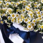 MF0735 - Синяя цветочная сумка с ромашками картинка №3 - moscowflorist.ru MF0735 - Синяя цветочная сумка с ромашками фото №3 - moscowflorist.ru