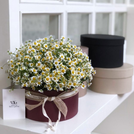 MF0826 - Бордовая шляпная коробка с ромашкой - фото moscowflorist.ru