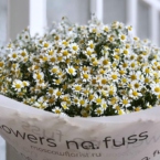 MF1035 - Большой букет ромашек (51 шт) картинка №3 - moscowflorist.ru MF1035 - Большой букет ромашек (51 шт) фото №3 - moscowflorist.ru