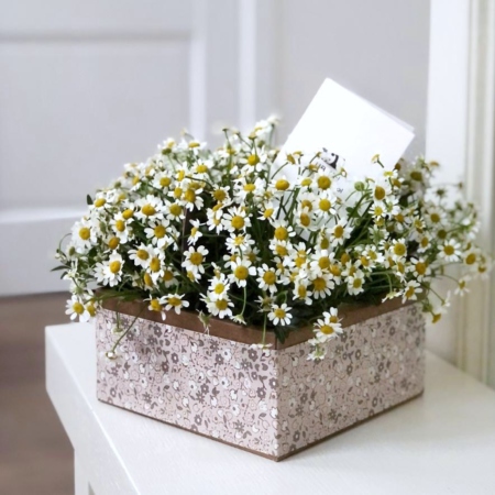 MF5022 - Коробочка-переноска крафт с ромашкой - фото moscowflorist.ru