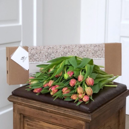 MF5529 - 35 пионовидных тюльпанов в большом фирменном кейсе - фото moscowflorist.ru