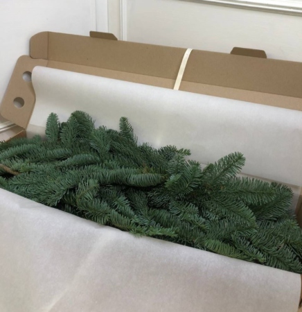 MF5535 - Фирменная новогодняя горизонтальная коробка с хвойниками - фото moscowflorist.ru