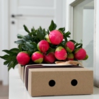 MF5539 - Фирменный кейс с яркими пионами (9 шт.) фото №3 - moscowflorist.ru