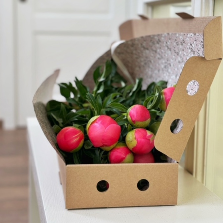 MF5539 - Фирменный кейс с яркими пионами (9 шт.) - фото moscowflorist.ru