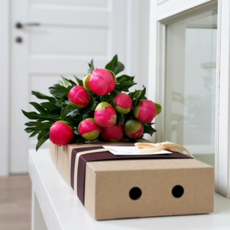 MF5539 - Фирменный кейс с яркими пионами (9 шт.) - фото moscowflorist.ru