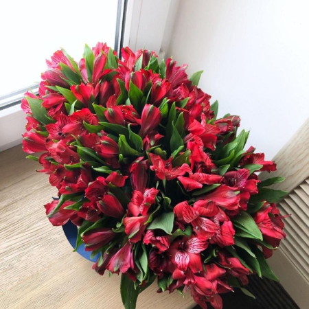 MF0603 - Яркие красные альстромерии в темно-синей сумке - фото moscowflorist.ru