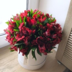 MF0539 - Белая шляпная коробка с красной альстромерией картинка №3 - moscowflorist.ru MF0539 - Белая шляпная коробка с красной альстромерией фото №3 - moscowflorist.ru