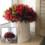 MF0539 - Белая шляпная коробка с красной альстромерией картинка №1 - moscowflorist.ru MF0539 - Белая шляпная коробка с красной альстромерией фото №1 - moscowflorist.ru