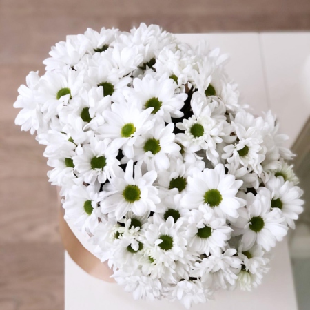 MF0619 - Кремовая фирменная сумка с белой хризантемой - фото moscowflorist.ru