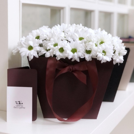 MF0623 - Белые ромашковые хризантемы в бордовой цветочной сумке - фото moscowflorist.ru