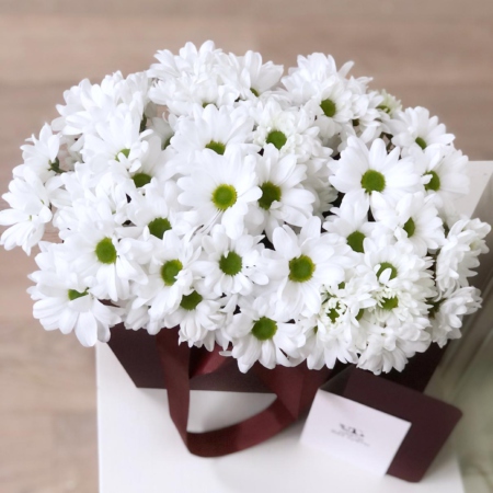 MF0623 - Белые ромашковые хризантемы в бордовой цветочной сумке - фото moscowflorist.ru
