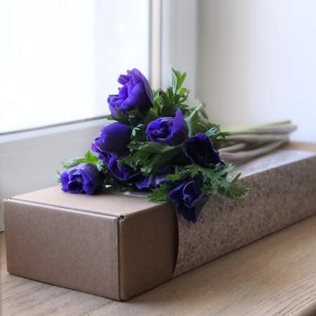 MF5545 - Синие анемоны 9 шт. в фирменном футляре - фото moscowflorist.ru