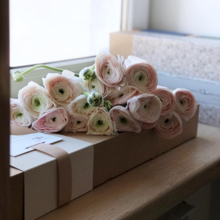 MF5547 - 19 ранункулюсов Ханой в фирменном футляре - фото moscowflorist.ru