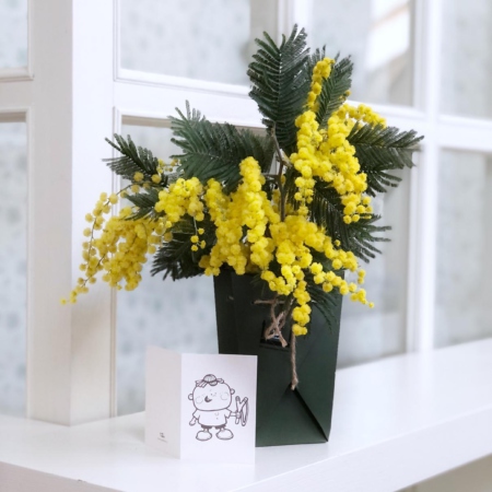 MF1079 - Пучок мимозы в фирменной вазе-аквабоксе - фото moscowflorist.ru