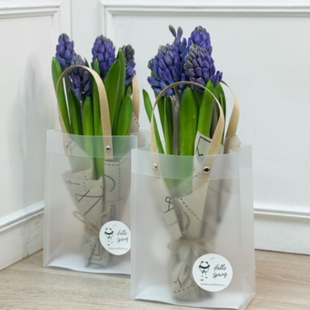 MF1081 - Кулек с гиацинтами( цена за 1 шт. продажа от 3 шт) - фото moscowflorist.ru