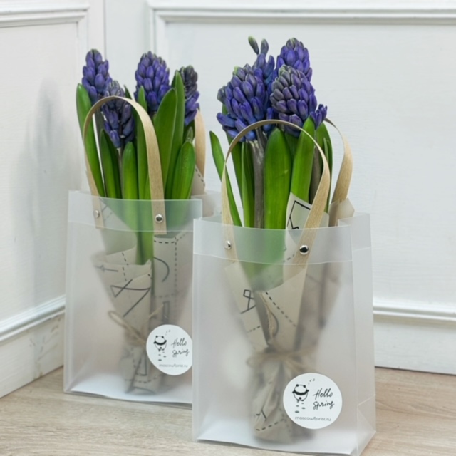 MF1081 - Кулек с гиацинтами( цена за 1 шт. продажа от 3 шт) фото - moscowflorist.ru
