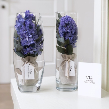 MF5836 - Композиция с гиацинтами в вазе - фото moscowflorist.ru