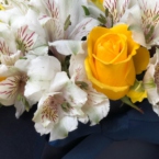 MF0655 - Синяя сумка-коробка с розами и альстромерией картинка №3 - moscowflorist.ru MF0655 - Синяя сумка-коробка с розами и альстромерией фото №3 - moscowflorist.ru