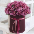 MF0551 - Большая юбилейная коробка с орхидеями картинка №1 - moscowflorist.ru MF0551 - Большая юбилейная коробка с орхидеями фото №1 - moscowflorist.ru