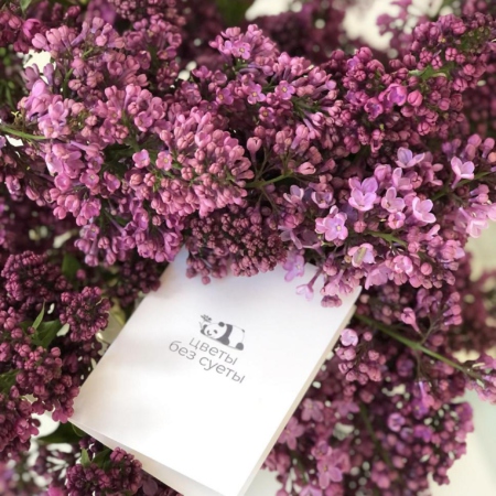 MF1095 - Букет сирени - фото moscowflorist.ru