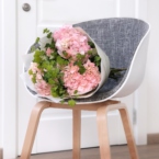 MF1130 - Букет с розовыми розами и гортензиями картинка №7 - moscowflorist.ru MF1130 - Букет с розовыми розами и гортензиями фото №7 - moscowflorist.ru