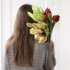 MF5567 - Фирменная коробка-кейс с амариллисами фото №7 - moscowflorist.ru