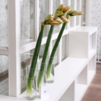 MF5567 - Фирменная коробка-кейс с амариллисами фото №6 - moscowflorist.ru