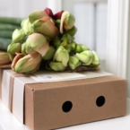 MF5567 - Фирменная коробка-кейс с амариллисами фото №9 - moscowflorist.ru