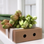 MF5567 - Фирменная коробка-кейс с амариллисами фото №2 - moscowflorist.ru