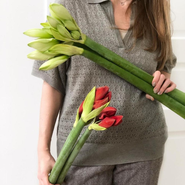 MF5567 - Фирменная коробка-кейс с амариллисами фото - moscowflorist.ru