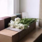 MF5568 - Белые ранункулюсы 9 шт. в фирменном кейсе фото №2 - moscowflorist.ru