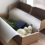 MF5568 - Белые ранункулюсы 9 шт. в фирменном кейсе фото №3 - moscowflorist.ru