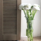 MF5568 - Белые ранункулюсы 9 шт. в фирменном кейсе фото №5 - moscowflorist.ru