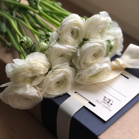 MF5568 - Белые ранункулюсы 9 шт. в фирменном кейсе - фото moscowflorist.ru