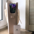 MF5122 - Синие анемоны 9 шт. в IQ коробке размер S фото №5 - moscowflorist.ru