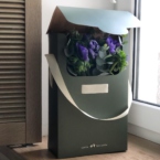 MF5123 - IQ коробка размер M с 9 анемонами и эвкалиптом фото №6 - moscowflorist.ru